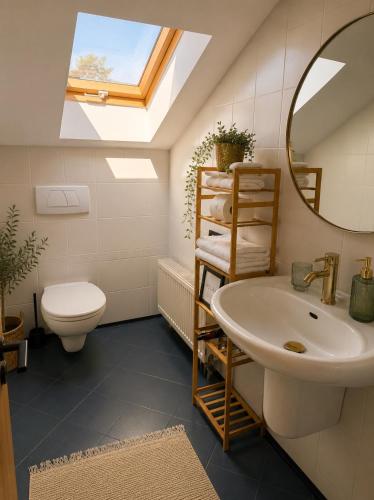 a bathroom with a sink and a mirror and a toilet at GóralSki in Wisła