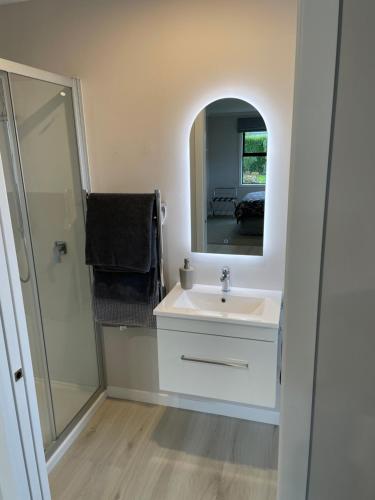 a bathroom with a sink and a mirror at # 2 Ald in Cambridge