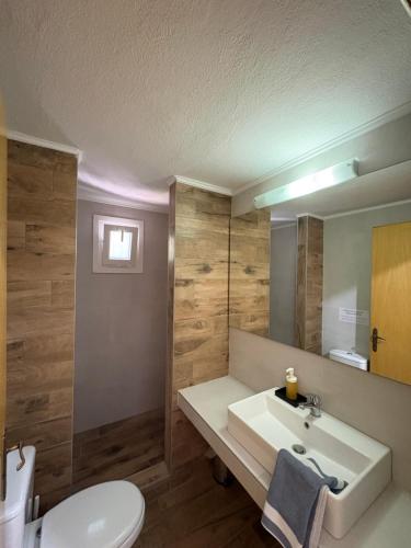 a bathroom with a sink and a toilet and a mirror at Villa Maria in Ofrínion