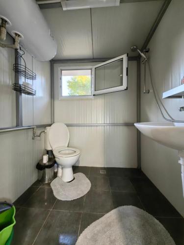a small bathroom with a toilet and a sink at Къща за гости Зеленец in Sozopol