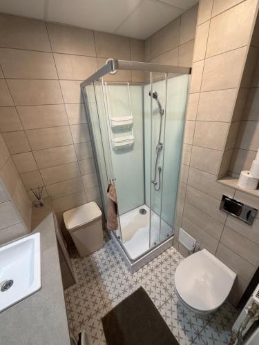 a bathroom with a shower and a toilet and a sink at Otepää city view apartment in Otepää
