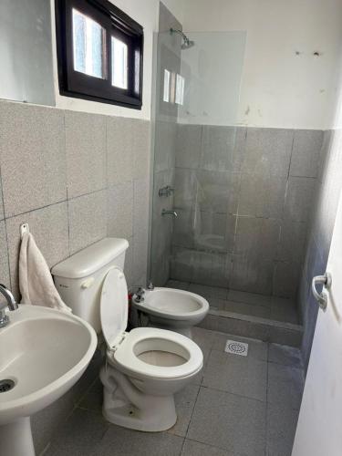 a bathroom with a toilet and a sink and a shower at 9 De Julio in Charata