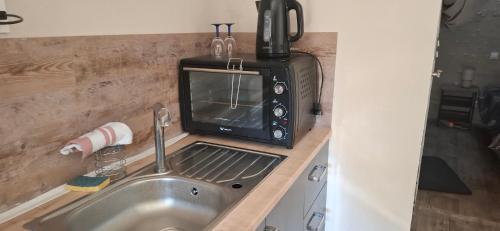 a microwave sitting on a counter next to a sink at Studios Saint dye sur Loire in Saint-Dyé-sur-Loire