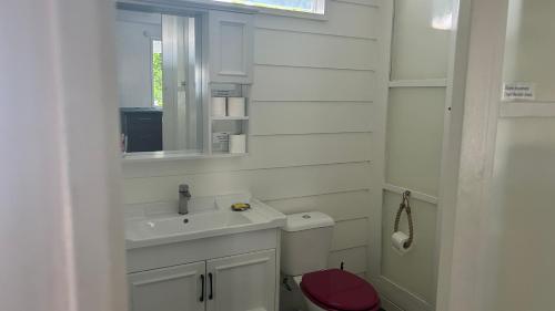 a bathroom with a sink and a red toilet at LE FARE BLEU DUO 2 chambres climatisées avec 1 salle de bain - bord de lagon à Tiputa Rangiroa - vélos gratuits et snorkeling in Rangiroa