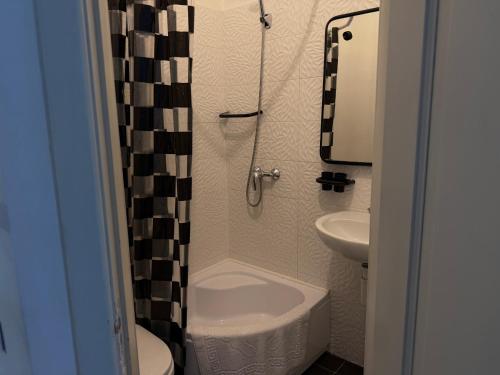a small bathroom with a shower and a sink at Belle Art Hotel in Odesa