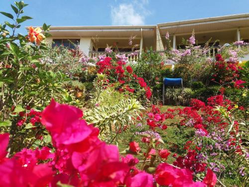 a garden of flowers in front of a building at La Princesa Hotel in San Isidro