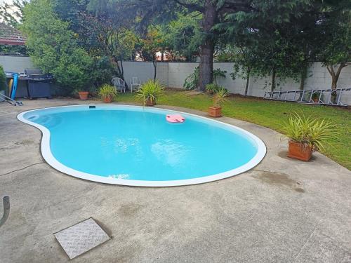 a large swimming pool in a yard with plants at Raceway Motel in Christchurch