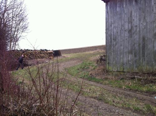 a person walking down a dirt road next to a barn at Traubengarten Winkler in Niederhollabrunn