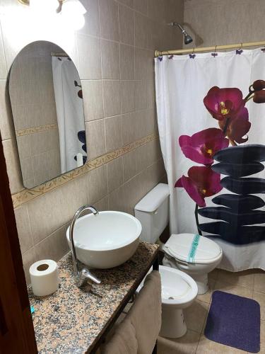 a bathroom with a sink and a toilet and a shower curtain at Hotel Mirage Spa in Carhué