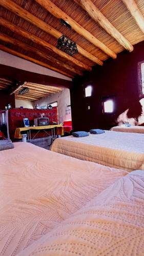a room with two beds and a cat laying on top at Mallma Cabañas in Tilcara