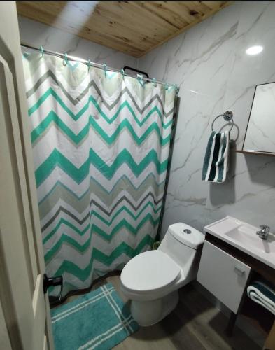 a bathroom with a toilet and a shower curtain at Cabaña Rincón de Colbùn in Colbún