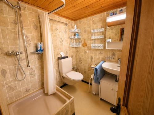 a bathroom with a toilet and a shower and a sink at Revier Dorfidyll 1864 in Hätzingen