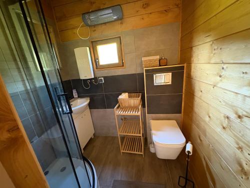 a small bathroom with a toilet and a shower at Orla polana in Gorczyca