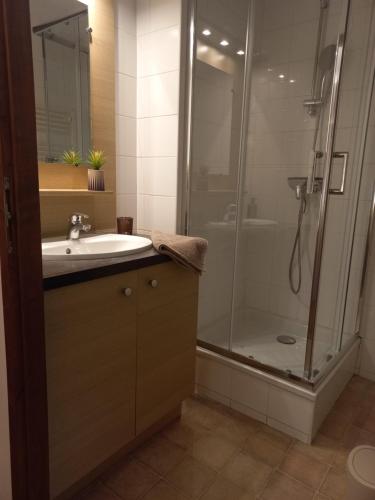 a bathroom with a shower and a sink and a shower at Artemis 402 2 chambres et coin montagne in Brides-les-Bains