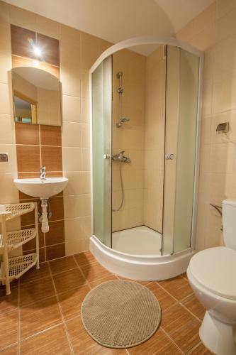 a bathroom with a shower and a toilet and a sink at Pokoje u Karolinki in Zakopane