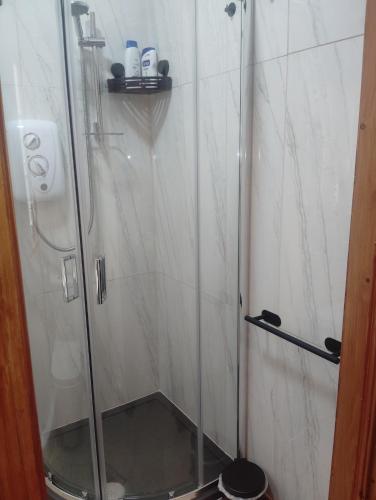 a shower stall with a glass door in a bathroom at Tunmobi Gardens Apartment in Ballyjamesduff