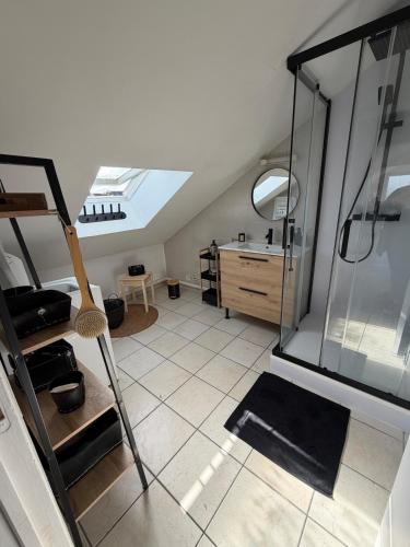 a attic room with a skylight and a bathroom at Le Cocon Loire, 3-room apartment in La Ville-aux-Dames