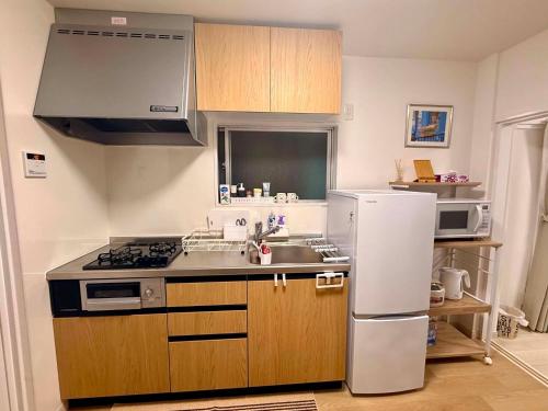 MAC HOME 201 Tokyo QUEEN BED 2BR 500m to Kameari Station Near ARIO Mall