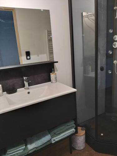 a bathroom with a sink and a shower at Sucré salé in Le Port-des-Barques