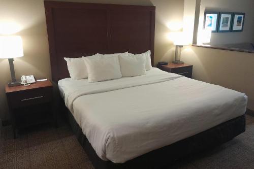 a large bed in a hotel room with two lamps at Comfort Inn Duncansville - Altoona in Duncansville