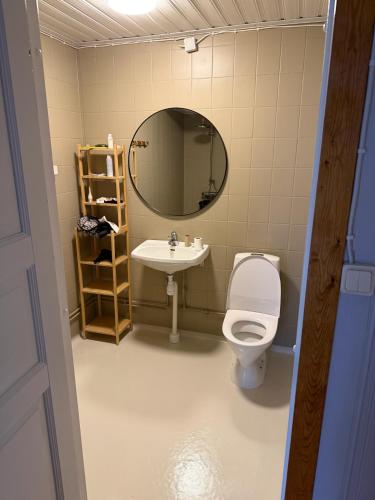 ein Badezimmer mit Toilette, Waschbecken und Spiegel in der Unterkunft Hej hus! in Nikkala