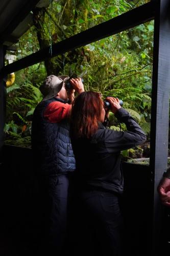 a man and woman looking at a garden through a window at Natural Luxury Birding Lodge - Premium Birdwatching near Cali in Papagalleros