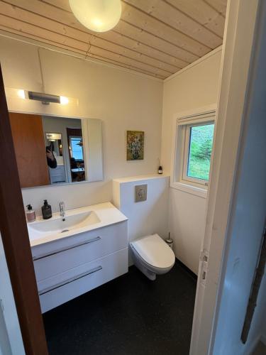 a bathroom with a sink and a toilet and a mirror at Unique and isolated cottage with stunning views in Leynar