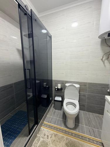 a bathroom with a toilet and a shower at vzmorie apart in Bosteri