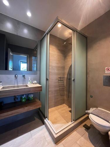 a bathroom with a shower and a sink and a toilet at sun studios in Mikonos