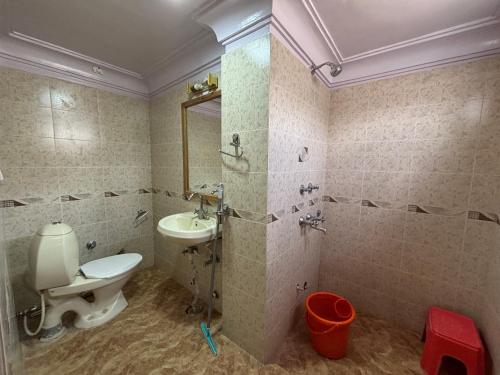 a bathroom with a toilet and a sink at Gangs-Shun Homestay in Leh