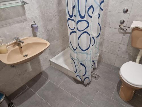 Apartments eljka - Studio Apartment with Terrace 7