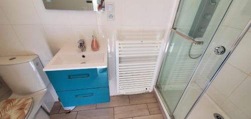 a bathroom with a blue sink and a shower at La maison de Coq-licot ! in Salignac Eyvigues