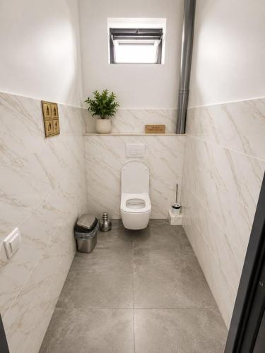 a bathroom with a toilet with a plant on the wall at Datka Hotel in Bishkek