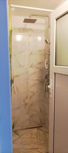 a shower with a glass door in a bathroom at Casa Marty in Cârțișoara