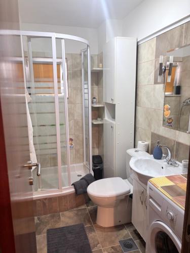 a bathroom with a shower and a toilet and a sink at Apartment Finally in Kastel Stari