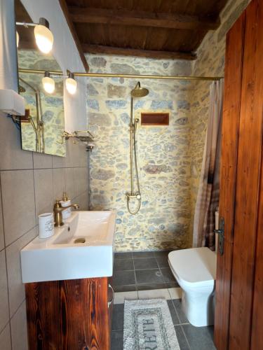 Villa Olive Tree with Private Pool and Jacuzzi