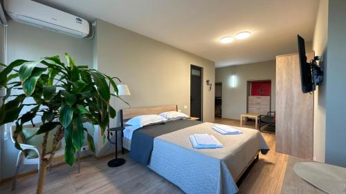 a bedroom with a bed and a potted plant at Ararat Terrace House in Ashtarak