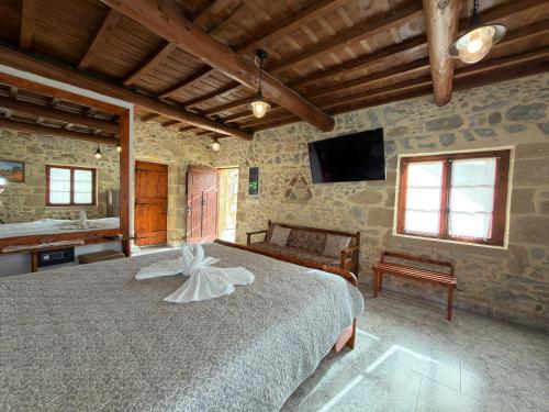 Villa Olive Tree with Private Pool and Jacuzzi