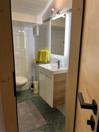 a bathroom with a sink and a toilet and a mirror at Guggenbergerhof in Maria Luggau