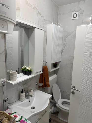 a white bathroom with a sink and a toilet at Stan na dan Alex in Bijeljina