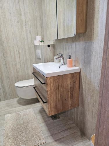 a bathroom with a sink and a toilet at Summer in Mandre in Mandre