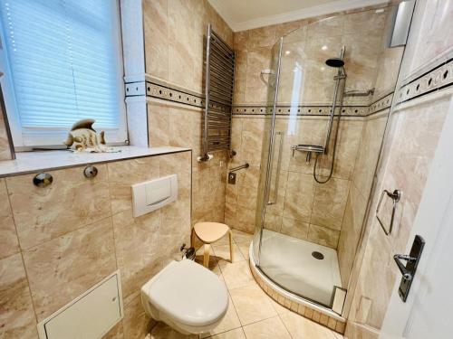 a bathroom with a toilet and a shower at Strandsicht, direkt am Strand in Warnemünde