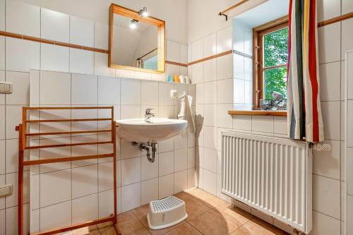 a bathroom with a sink and a mirror at Alte Scheune in Putbus