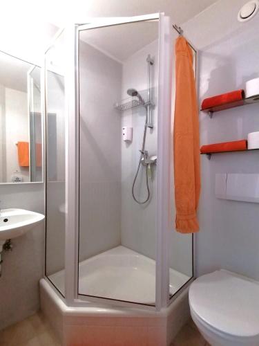 a shower with a glass door in a bathroom at Landhaus Martens in Bresewitz