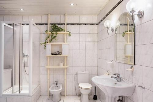 a white bathroom with a toilet and a sink at Bergpanorama Ruhla in Ruhla