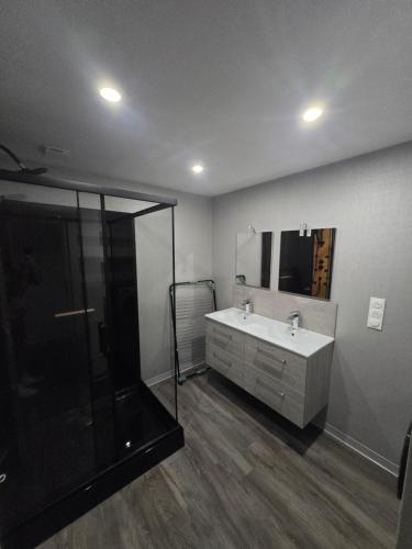 a bathroom with a sink and a shower at Le calme in La Souterraine