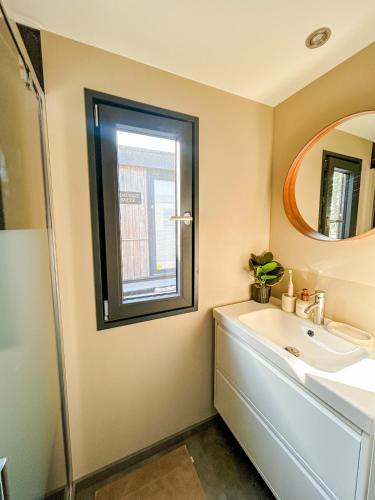 a bathroom with a sink and a mirror at The Creative Boat - Sneekermeer in Offingawier