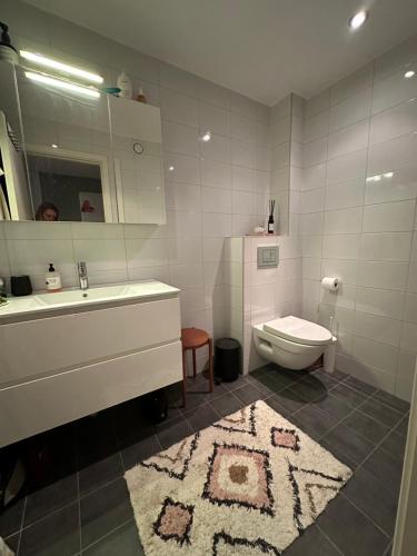 a bathroom with a sink and a toilet and a mirror at Moderne enebolig, sentralt in Oslo