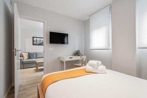 Accessible flat near the Toledo Bridge - 3A