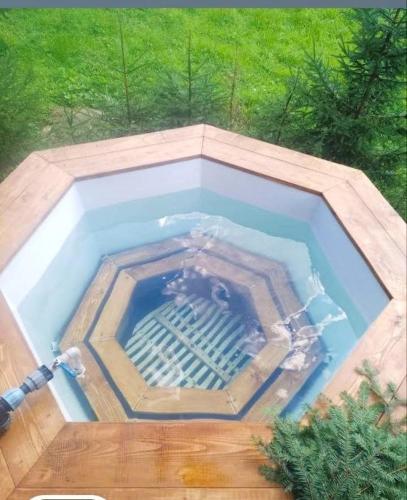 an overhead view of a pool of water with trees at Котедж Перша Хата in Synevyrsʼka Polyana